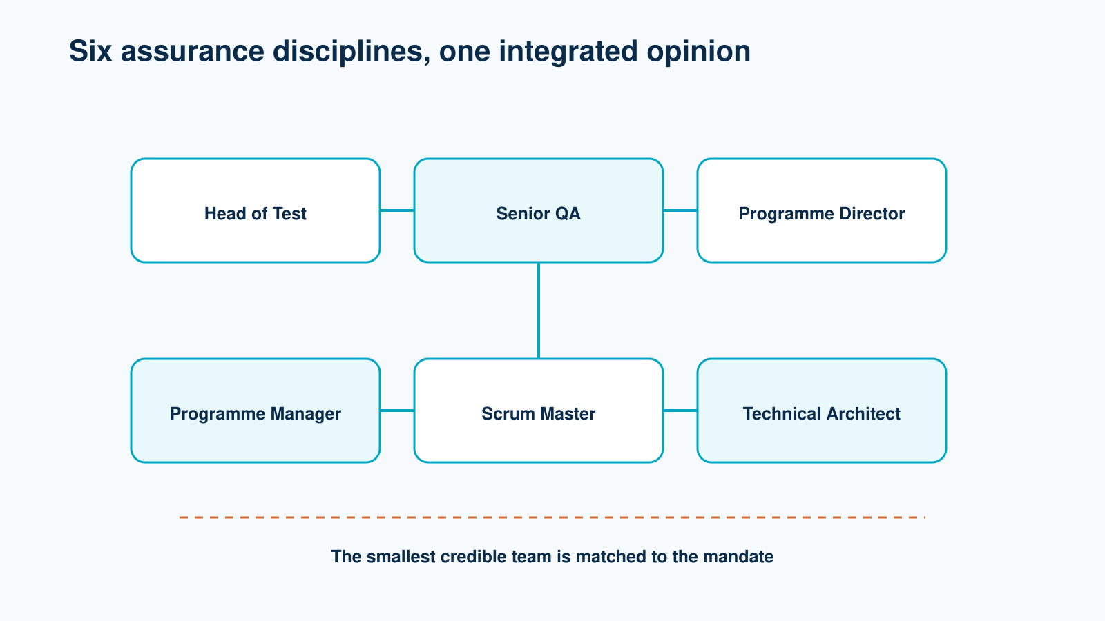 Head of Test, Senior QA, Programme Director, Programme Manager, Scrum Master and Technical Architect disciplines.